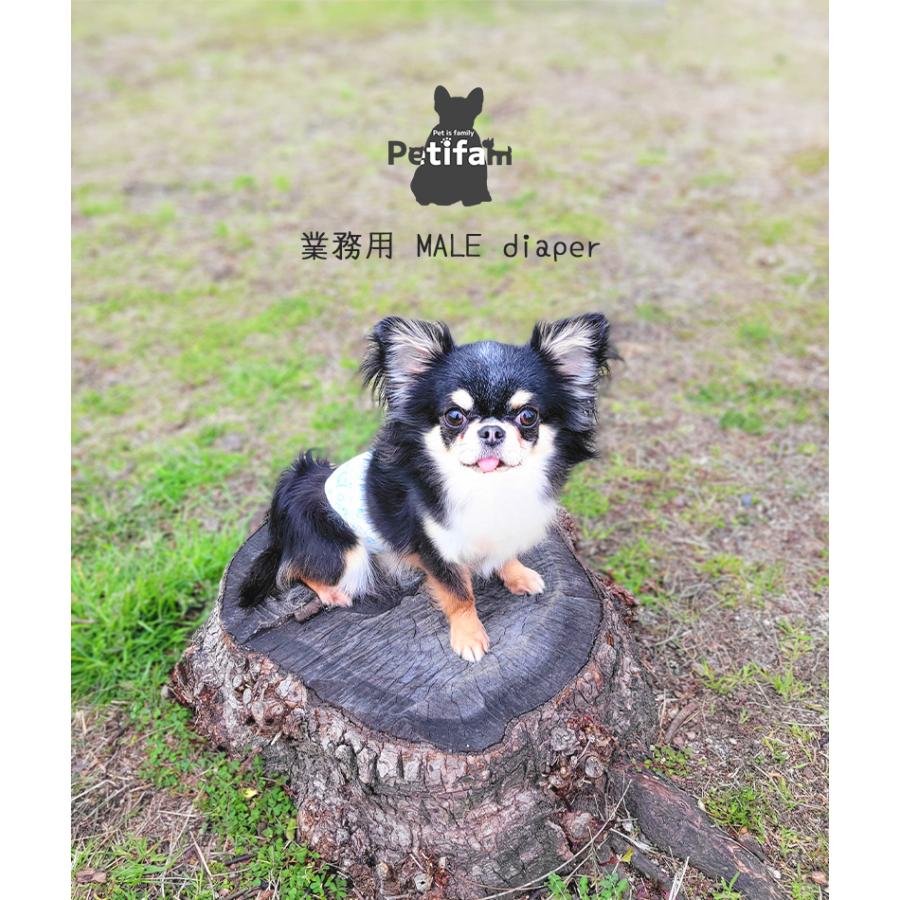 ペット用品 トイレ用品 犬 オムツ オス 業務用 Petifam 業務用男の子