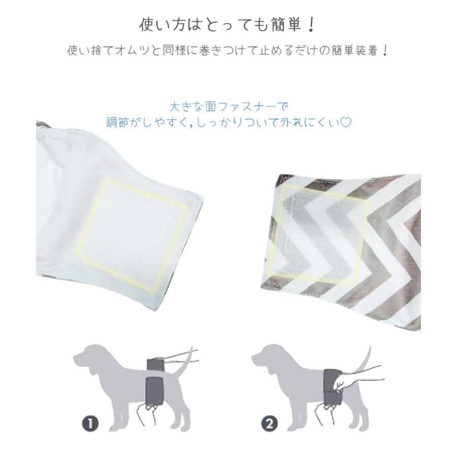 MーPETS 【毎月11日はポイント10倍】犬 洗えるおむつ 大型犬 M-PETS
