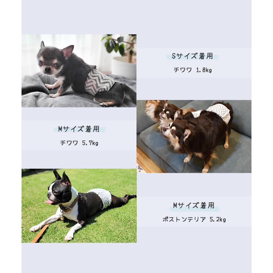 マナー 犬 おむつ オス S オムツ マナーパンツ しつけ 老犬 介護 ペットおむつ M Pets男の子用おむつ 小型犬用 超吸収 Petifam Copy ペットグッズ専門店petifam 通販 Yahoo ショッピング