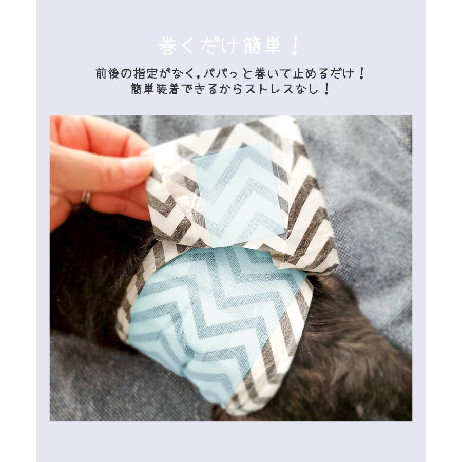 お得な情報満載 犬 オス おむつ 送料無料 オムツ L マナーパンツ しつけ 老犬 介護 ペットおむつ M Pets男の子用おむつ 超吸収 Petifam 12枚入り 6個セット Shipsctc Org