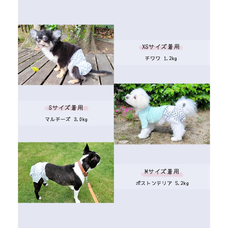 犬 おむつ メス おしゃれ かわいい 人気 おすすめ お試し マナーウェア 子犬 超小型犬 Xs しつけ 老犬 介護 ペットおむつ M Pets女の子用 おむつ 超吸収 Petifam ペットグッズ専門店petifam 通販 Yahoo ショッピング