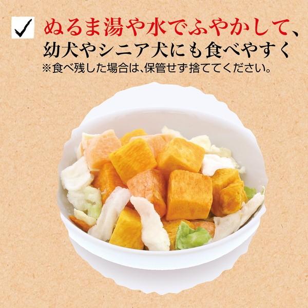 犬用おやつ 30個で1個分無料 素材そのまま フリーズドライ For Dog ベジタブルMIX 20g 保存料 着色料無添加 果物 野菜 3ヶ月〜 ペティオ Petioの画像