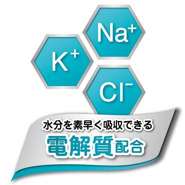 犬用おやつ 18個で1個分無料 アクアゼリー 4つのゼロ りんご風味 16g×17個入 国産 ゼリー シャーベット 6ヶ月〜 ペティオ Petioの画像
