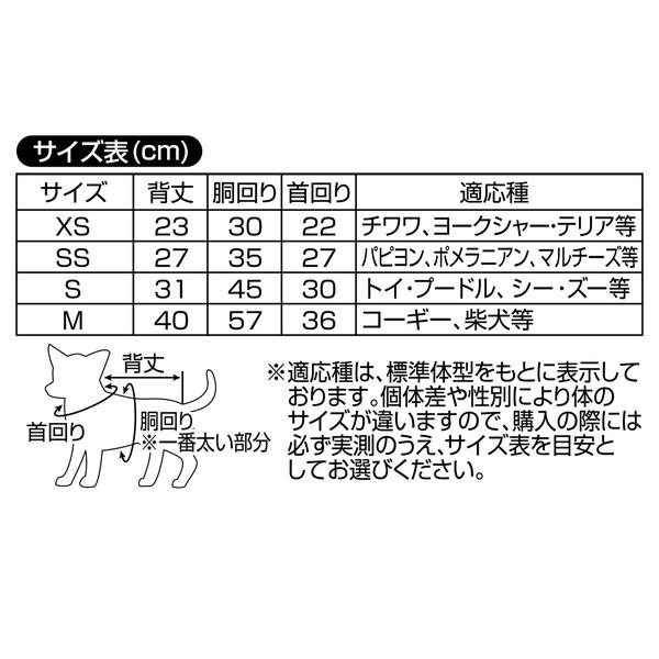 トイプードル 年齢表 犬の年齢は人間に換算すると何歳 小型 中型 大型犬種別の年齢早見表をご紹介