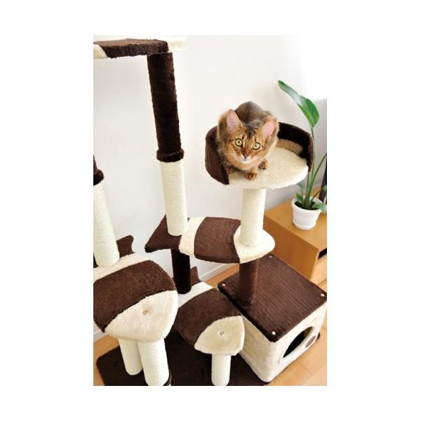 キャットタワー 猫タワー 据え置き型 ケージ ゲージ おしゃれ アドメイト Add.Mate 猫のおあそびポール お魚ファミリー ハイタイプ 室内の画像