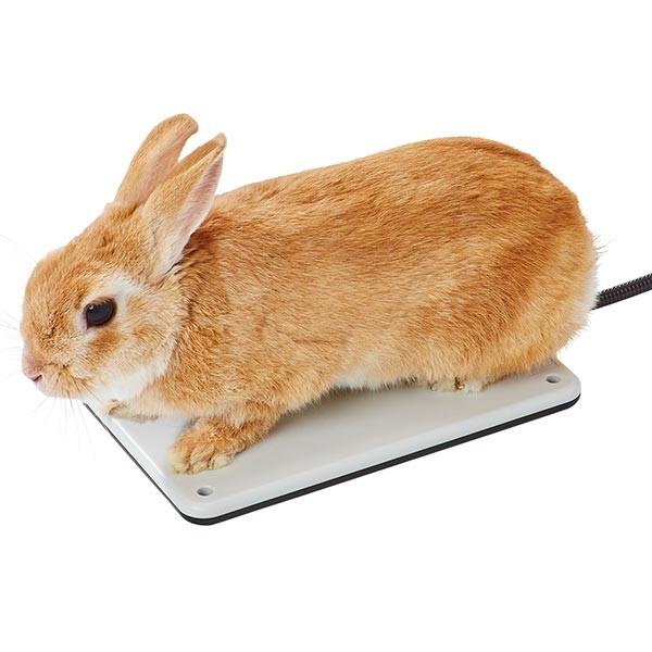 犬 猫 うさぎ 暖房 アドメイト Add Mate ペット用リバーシブル電気ヒーター ハード S 6111 Petio Online Shop ヤフー店 通販 Yahoo ショッピング