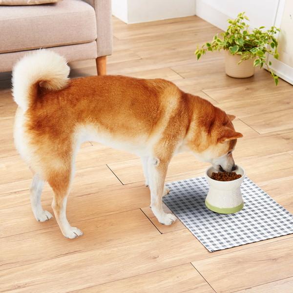 犬用食器 アドメイト Add.Mate フードが食べやすい脚付き陶器食器 Mサイズ｜petio-online-shop