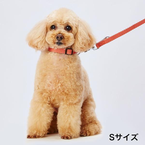 犬用首輪 アドメイト Add Mate 超小型犬用 ソフトスキップカラー Ss レッド 繊維 A Petio Online Shop ヤフー店 通販 Yahoo ショッピング