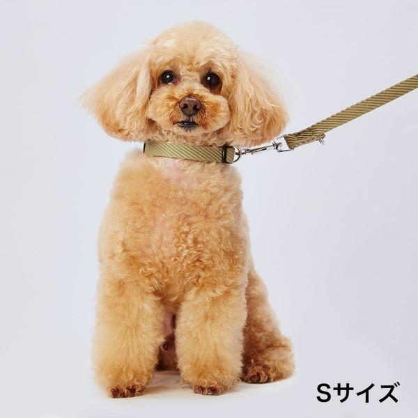 犬用リード 引き紐 アドメイト Add.Mate 中型犬用 ソフトスキップリード M グリーン 繊維｜petio-online-shop｜02