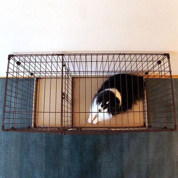 Petio（ペティオ） 犬 ペットサークル 本体 Petio PMJ ツールーム