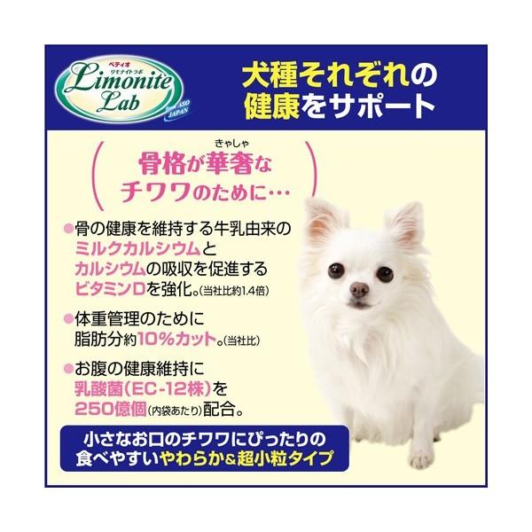 lab dog online shopping