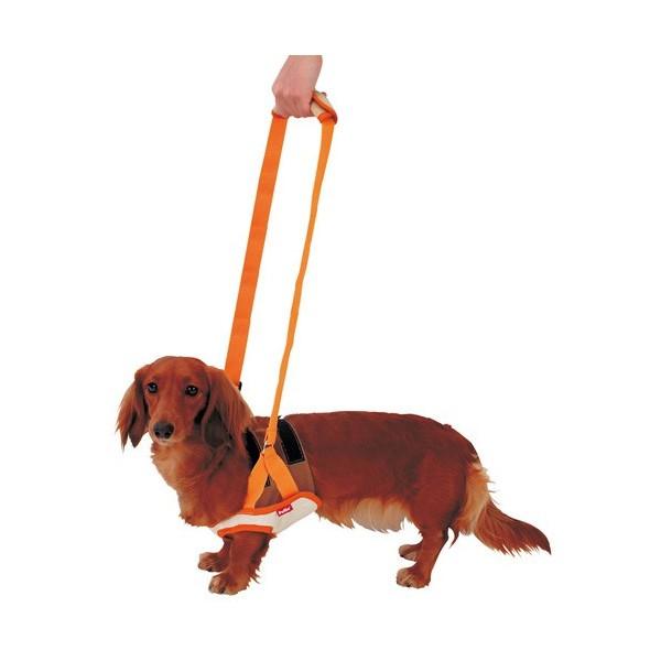 ミニチュアダックス ハーネス（介護用ハーネス（犬用