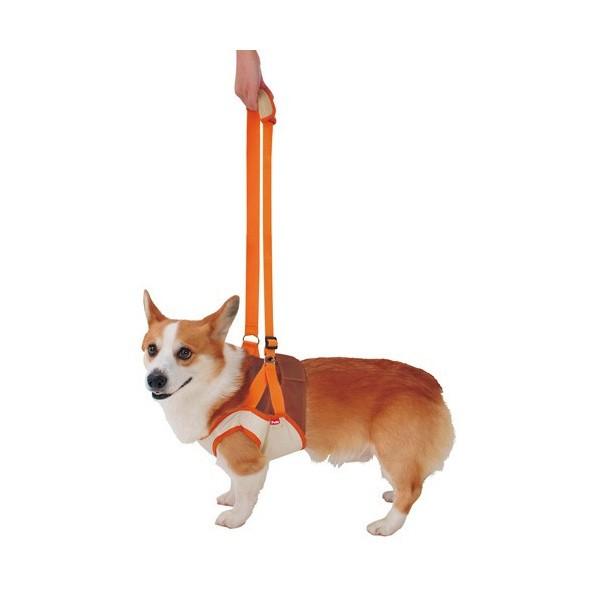 犬 ヘルスケア 介護用品 介護用ハーネス ペティオ Petio Zuttone ずっとね 老犬 歩行補助ハーネス 前足用k L 中型犬 柴犬 胴輪 W Petio Online Shop ヤフー店 通販 Yahoo ショッピング