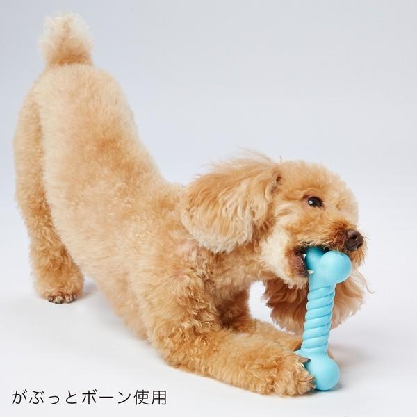 ペティオ Petio ペティオ ヘルス プログラム がぶっとボーン 犬用おもちゃ 超小型犬 小型犬犬用 W Petio Online Shop ヤフー店 通販 Yahoo ショッピング