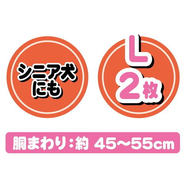 犬用エチケットウェア おむつ ペティオ Petio ポケモン Pokemon ポケットモンスター エチケットパンツ 女の子用 L お試しパック 2枚 中型犬 W Petio Online Shop ヤフー店 通販 Yahoo ショッピング