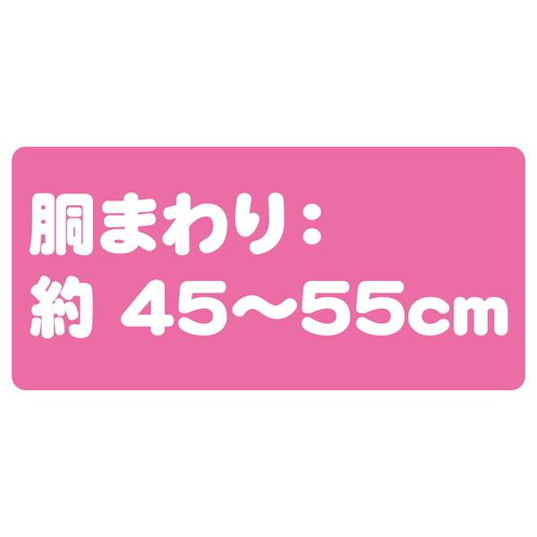犬用エチケットウェア おむつ ペティオ Petio ポケモン Pokemon ポケットモンスター エチケットパンツ 女の子用 L お試しパック 2枚 中型犬 W Petio Online Shop ヤフー店 通販 Yahoo ショッピング