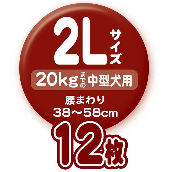 Petio（ペティオ） 犬用オムツ パンツ 介護から生まれた紙おむつ 2L 12