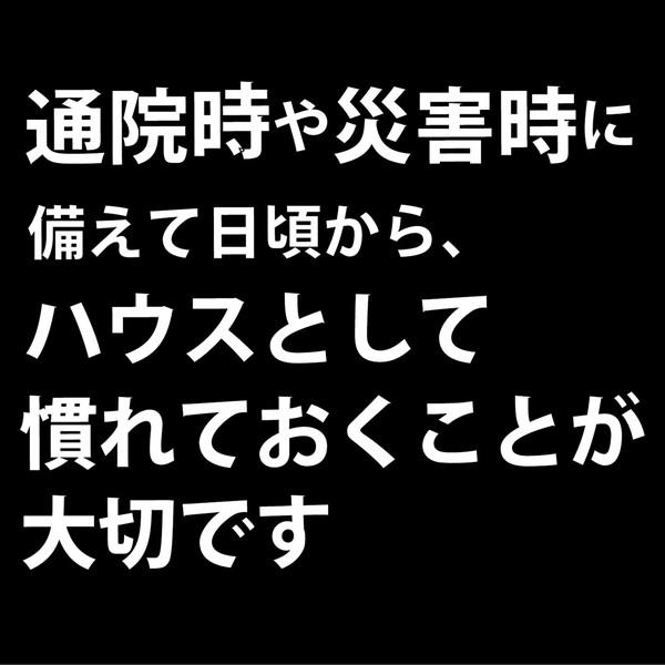 犬、猫用 犬舎・運搬  ペティオ Petio 犬猫用キャリー ハウスにしやすい2ドアスマイルキャリープラス M ブラック 全年齢 超小型犬〜小型犬・全猫種樹脂｜petio-online-shop｜05