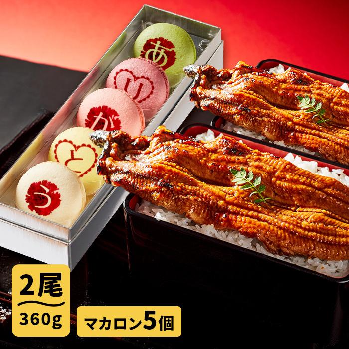 国内外の人気が集結 鰻 国産 メッセージマカロン5個セット スイーツの名店フォチェッタの母の日 180g 2本 大阪の名店ごかせ川のうなぎ お取り寄せグルメ 母の日ギフト 魚介類 海産物 Affaires Sociales Gouv Cg