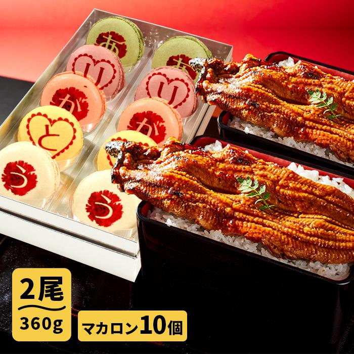 母の日ギフト お取り寄せグルメ 大阪の名店ごかせ川のうなぎ 180g×2本 スイーツの名店フォチェッタの母の日 メッセージマカロン10個 豪華セット 国産 鰻