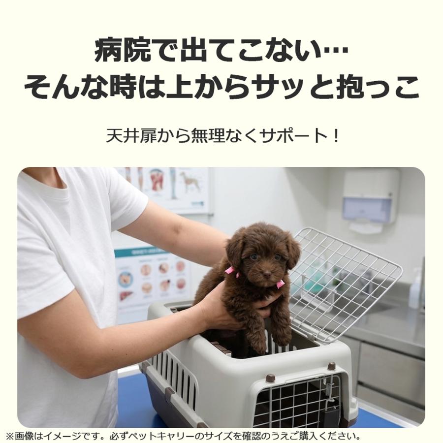Petit ruban（プチリュバン） ペットキャリー DX50 2個セット 犬 猫