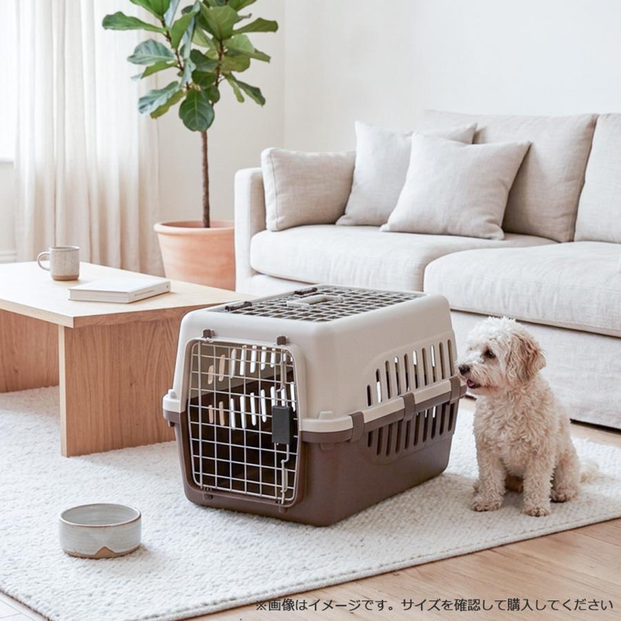 Petit ruban（プチリュバン） ペットキャリー DX50 2個セット 犬 猫