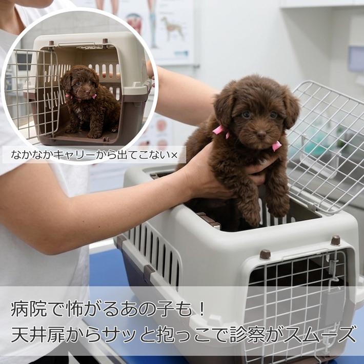 49◆ リュバンドール (Ruban D'or) キャリーバッグ　犬　パピリー パピリーヒルズ/リュバンドール/Ruban D'or/オリジナルスリング | dog