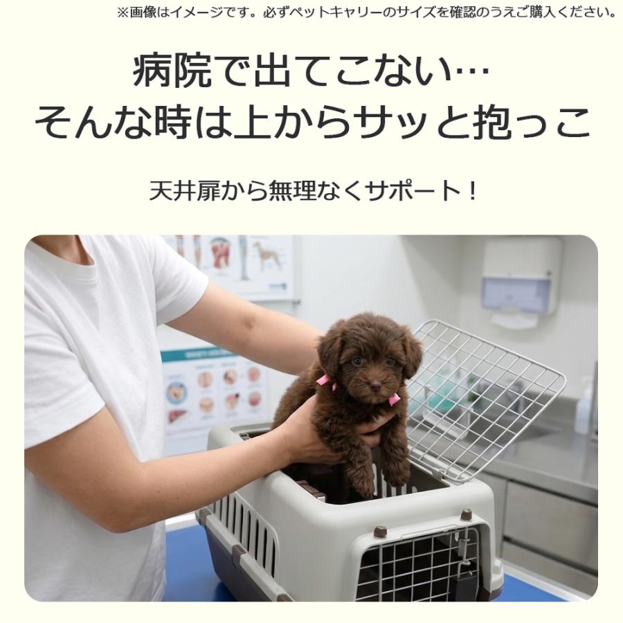 Petit ruban（プチリュバン） ペットキャリー DX50 ダブルドア 軽量 犬