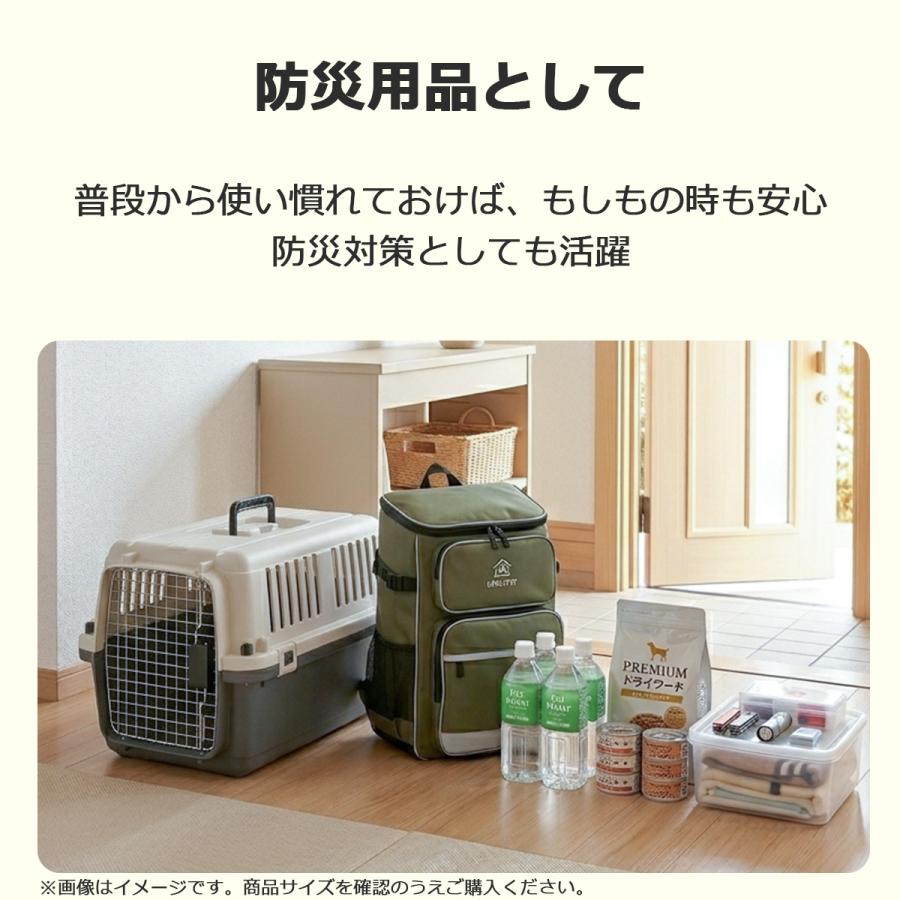Petit ruban（プチリュバン） ペットキャリーDX60 L 犬 小型犬