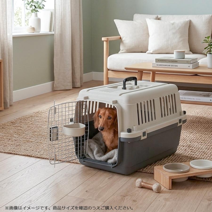 ペットキャリーDX60 L すのこなし版 Petit ruban（プチリュバン） ペットキャリーDX60 L 犬 小型犬