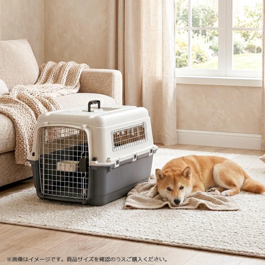 Petit ruban（プチリュバン） ペットキャリー DX70 2個セット LL 犬