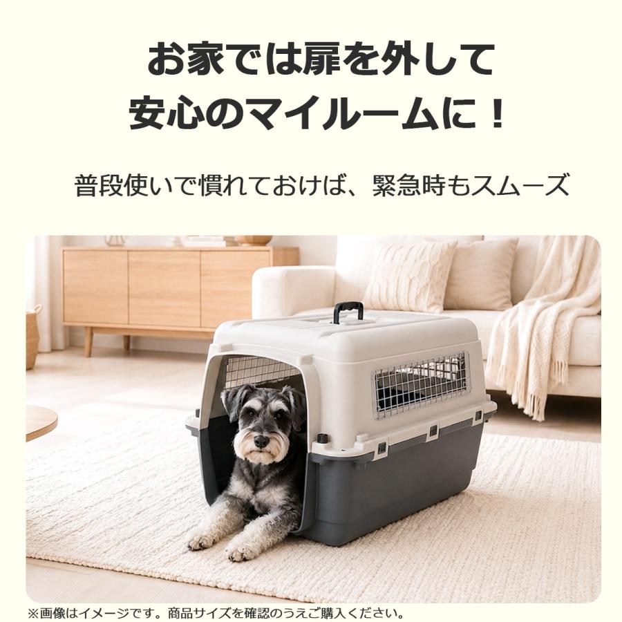 中型犬用クレート（ペットキャリーDX70） Petit ruban（プチリュバン） ペットキャリー 中型犬 犬 DX70 LL