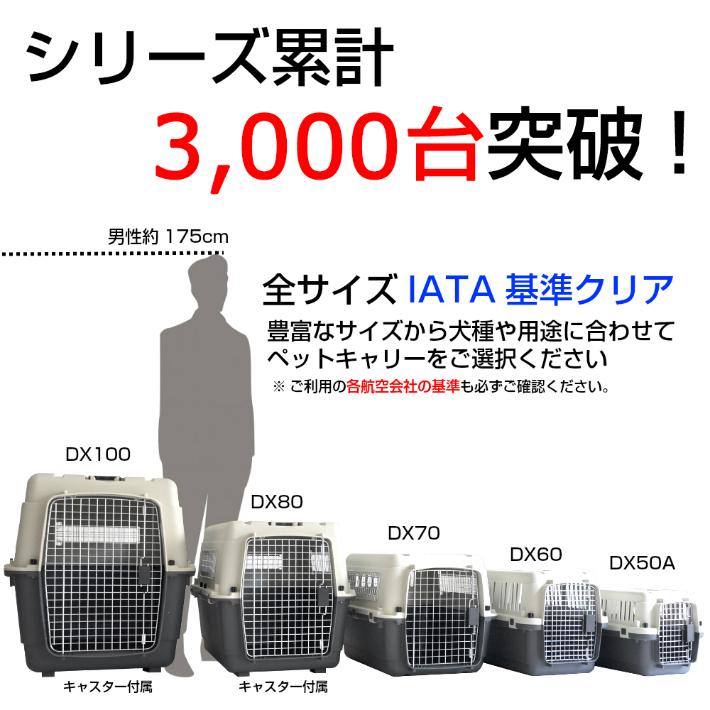 66%以上節約 ケース販売 2個入 ペットキャリー DX80 犬 中型犬 大型犬 キャスター付 キャリーケース クレート ハードキャリー キャリーバッグ まとめ売り 返品キャンセル不可 babylonrooftop.com.au 66%以上節約 ケース販売 2個入 ペットキャリー DX80 犬 中型犬 大型犬 キャスター付 キャリーケース クレート ハードキャリー キャリーバッグ まとめ売り 返品キャンセル不可 babylonrooftop.com.au