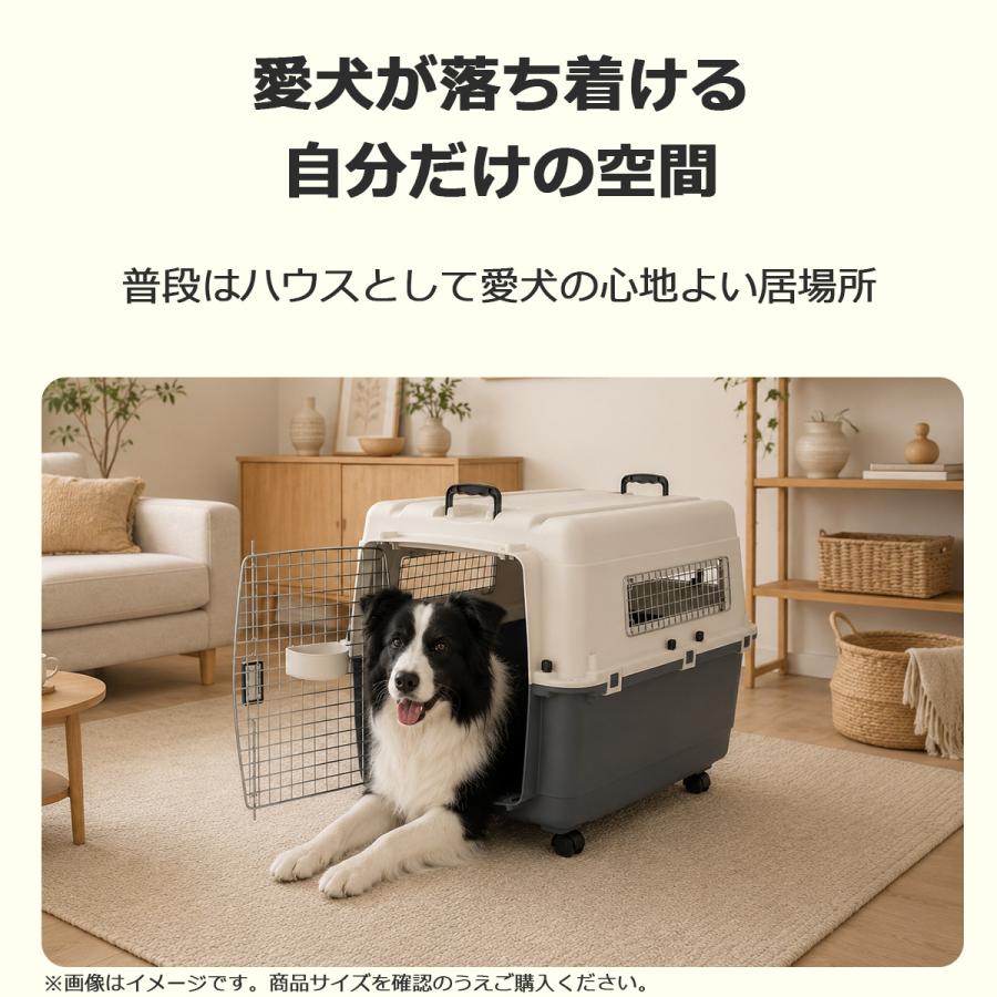 Petit ruban（プチリュバン） ペットキャリー DX80 犬 中型犬 大型犬 