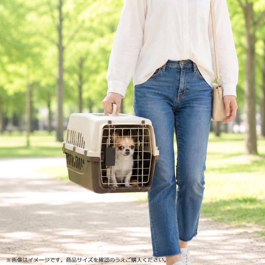 Petit ruban（プチリュバン） ペットキャリー PR45 犬 猫 超小型犬