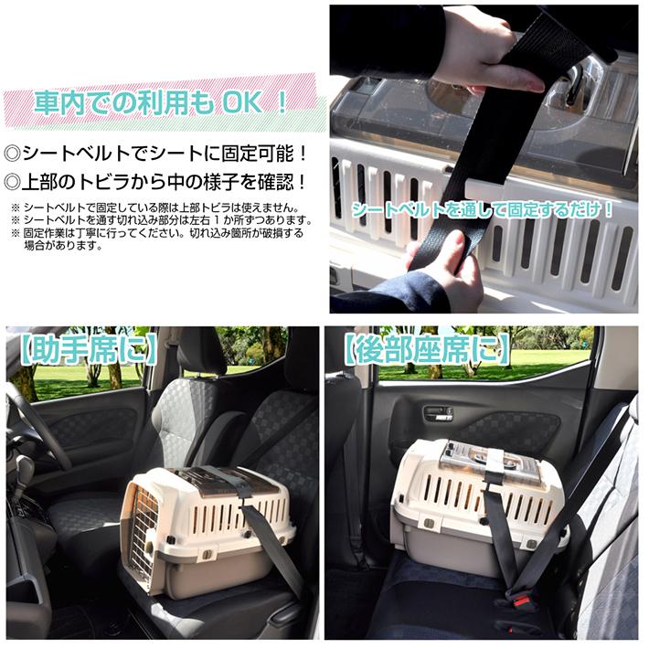 ペットキャリー Pm50 M 上部トビラ付き ダブルドア 小型犬 カーボックス 犬 猫 超小型犬 ペットキャリーケース ペットハードキャリー Jan プチリュバンヤフーショップ 通販 Yahoo ショッピング