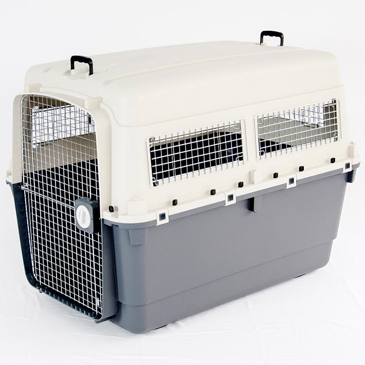 Petit ruban ペットキャリー DX120 3XL 大型犬 超大型犬 Petit ruban ペットキャリー DX120 3XL 大型犬 超大型犬