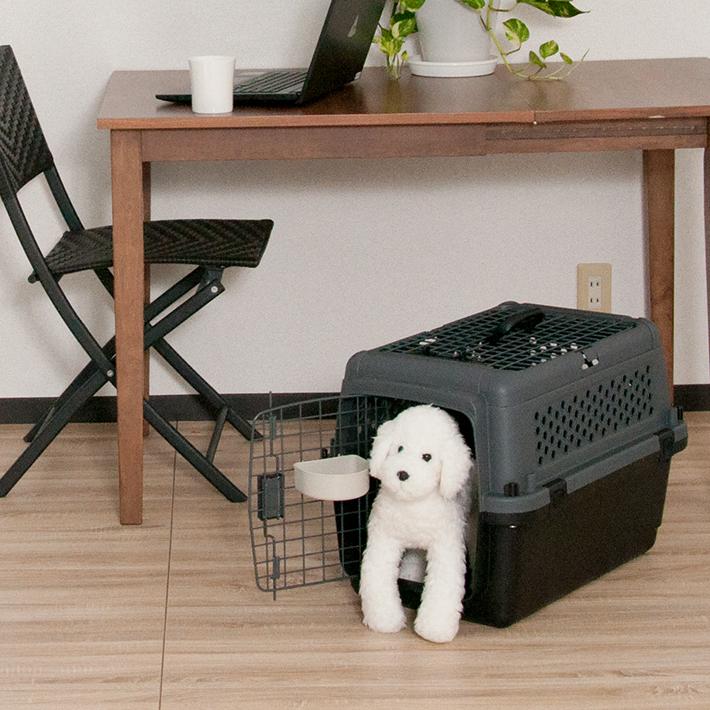 Petit ruban ペットキャリーバッグ PR60 L 小型犬 猫 犬 Petit ruban ペットキャリーバッグ PR60 L 小型犬 猫 犬