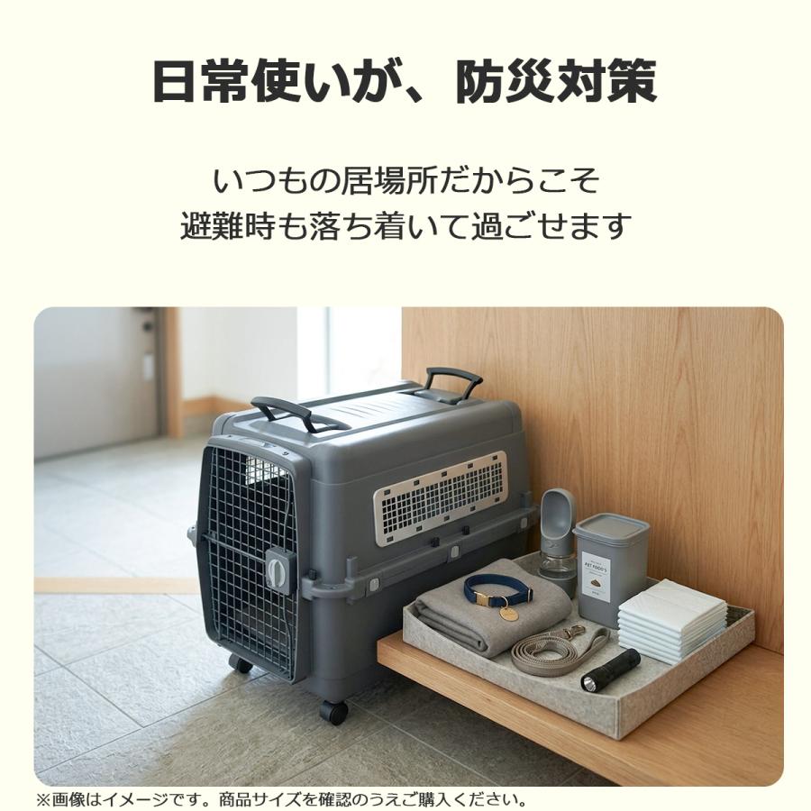 Petit ruban（プチリュバン） すのこ付き ペットキャリー PR70 LL