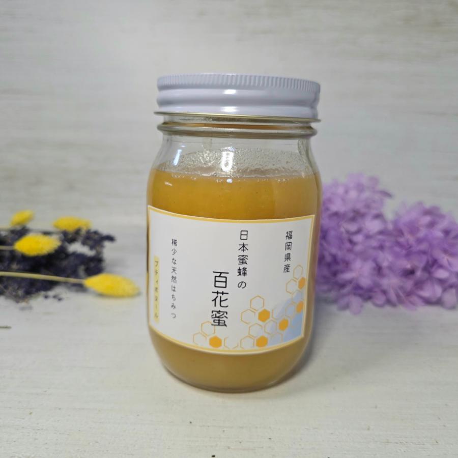 日本蜜蜂 百花蜜 500g×2本 セール中 日本蜜蜂 百花蜜 500g×2本 セール
