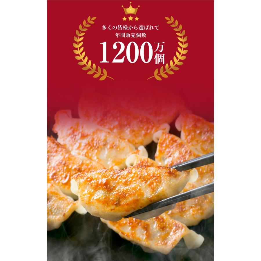 ZIP・めざましテレビで紹介】【工場直売】にんにくなし 野菜餃子 108個
