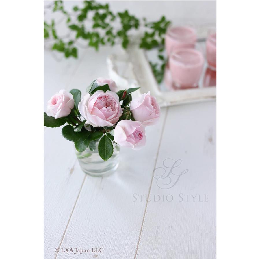 Studio Style 大型 フォトスタイリングボード 写真撮影用背景ボード ナチュラル L版 リバーシブル 白漆喰 木目 Stdl Ntl エネライフバッテリー ヤフー店 通販 Yahoo ショッピング