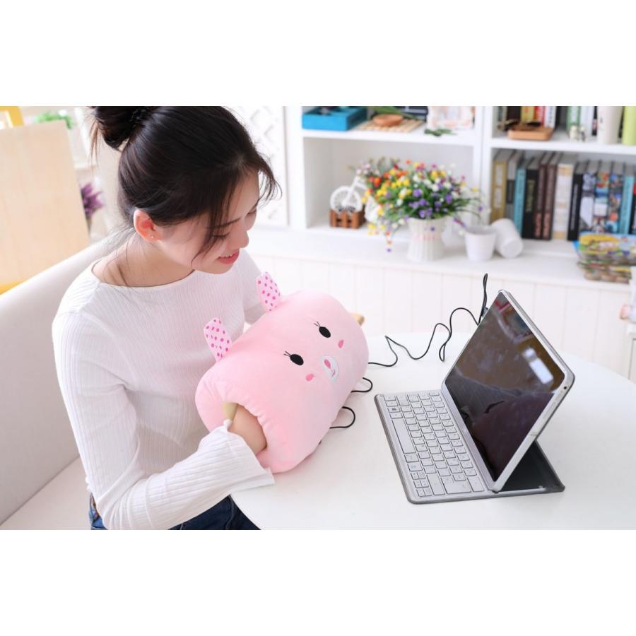 優先配送 電気ハンドウォーマー Usb 8種類 洗える 加熱 枕 手袋 手枕 暖かい枕 在宅ワーク オフィス 電気あんか 電気カイロ 便利グッズ あったかグッズ ふわふわ かわいい