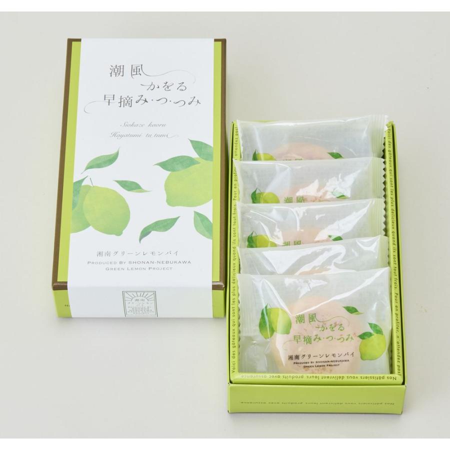 湘南グリーンレモンパイ（10個入） : 横浜フランス菓子プチ・フルール