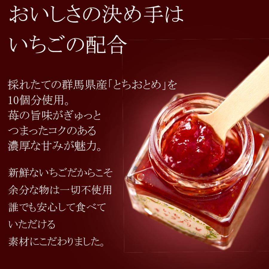 【サンチャイチャ様ご発注分】お菓子セット お菓子 2025 お中元 クッキー イチゴ とちおとめ サンド サブレ