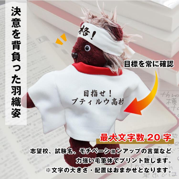 合格祈願 お守り グッズ 受験生 プレゼント 男子 女子 応援 高校受験 大学受験 資格試験 彼氏 友達 誕生日プレゼント 名入れ 志望校 プリント 合格ハグベア テディベアギフト専門店プティルウ 通販 Yahoo ショッピング