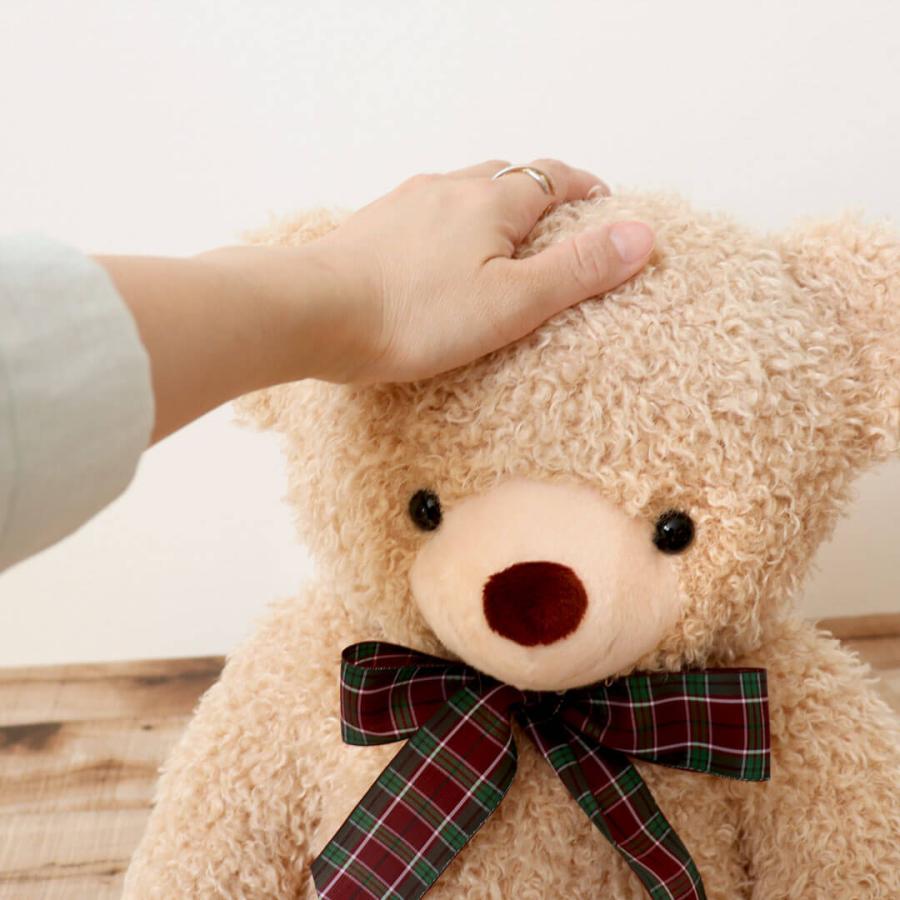 プティルウ（Petit Loup） ぬいぐるみ 大きい くま 名入れ 誕生日