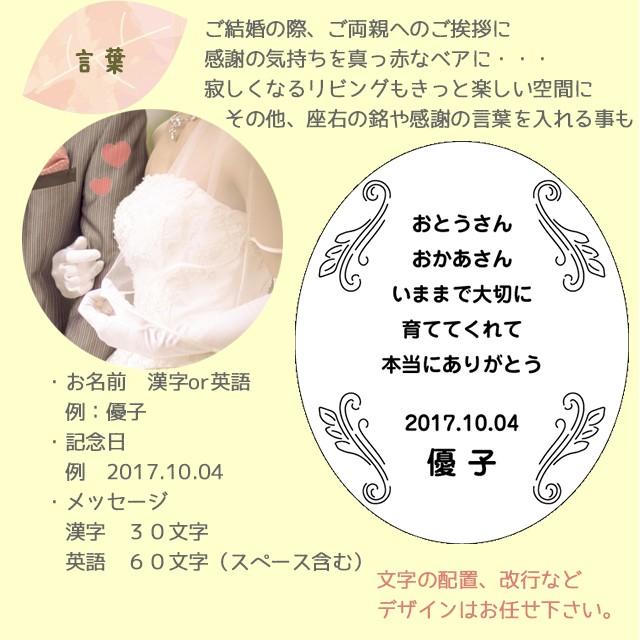 癒やし ぬいぐるみ 80cm 特大 ビッグ 誕生日プレゼント 1歳記念 足型 誕生日 メッセージ 子供 孫へ 出産祝い 名入れ 男の子 女の子 英語 テディベア Tb テディベアギフト専門店プティルウ 通販 Yahoo ショッピング
