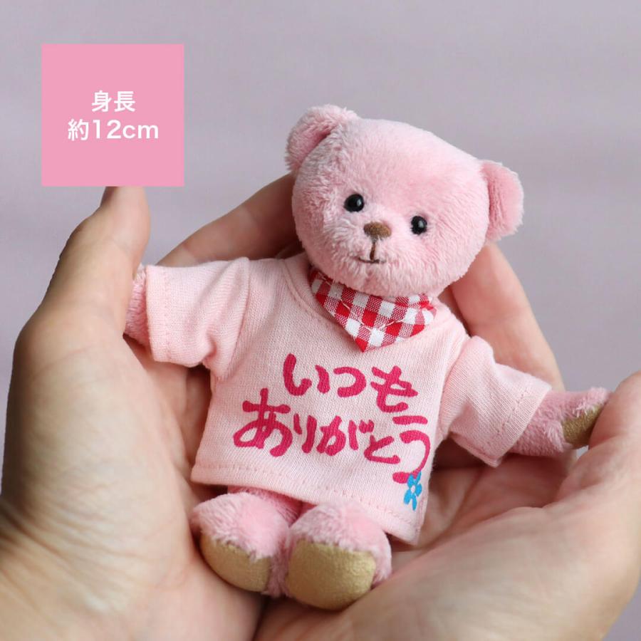 プチギフト 家族 友達 お誕生日プレゼント 結婚式 卒業 記念日 退職
