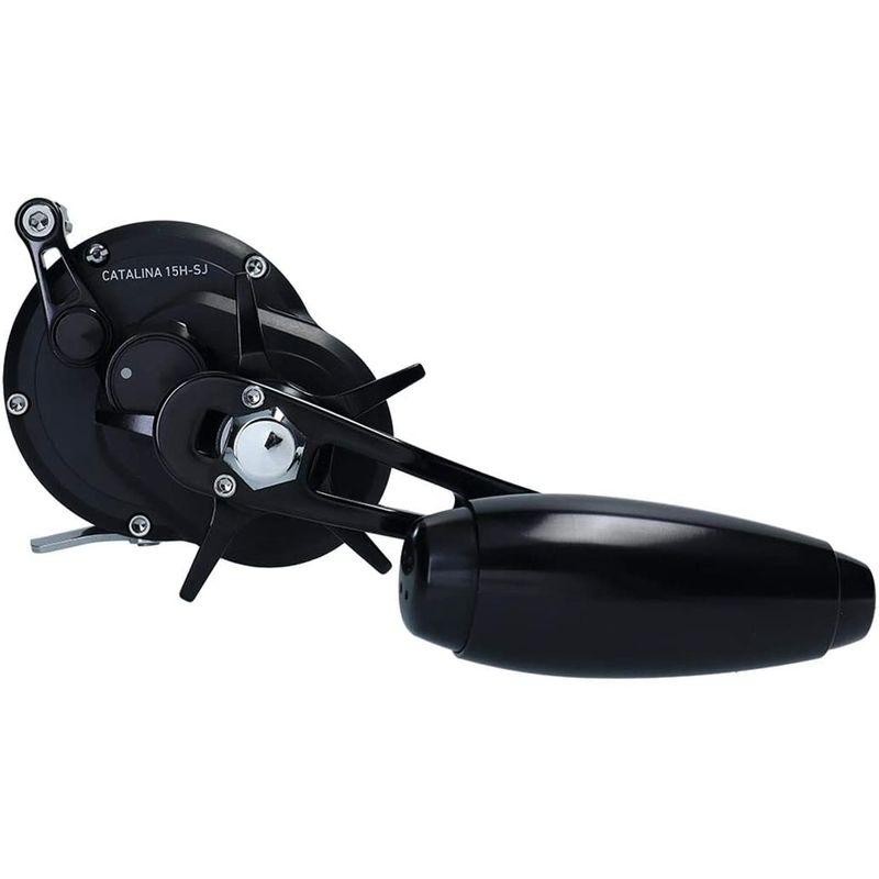 ダイワ(DAIWA) ベイトリール 19 キャタリナ 15H-SJ (2019モデル) 15H SJ DAIWA ベイトリール キャタリナ 2019モデル